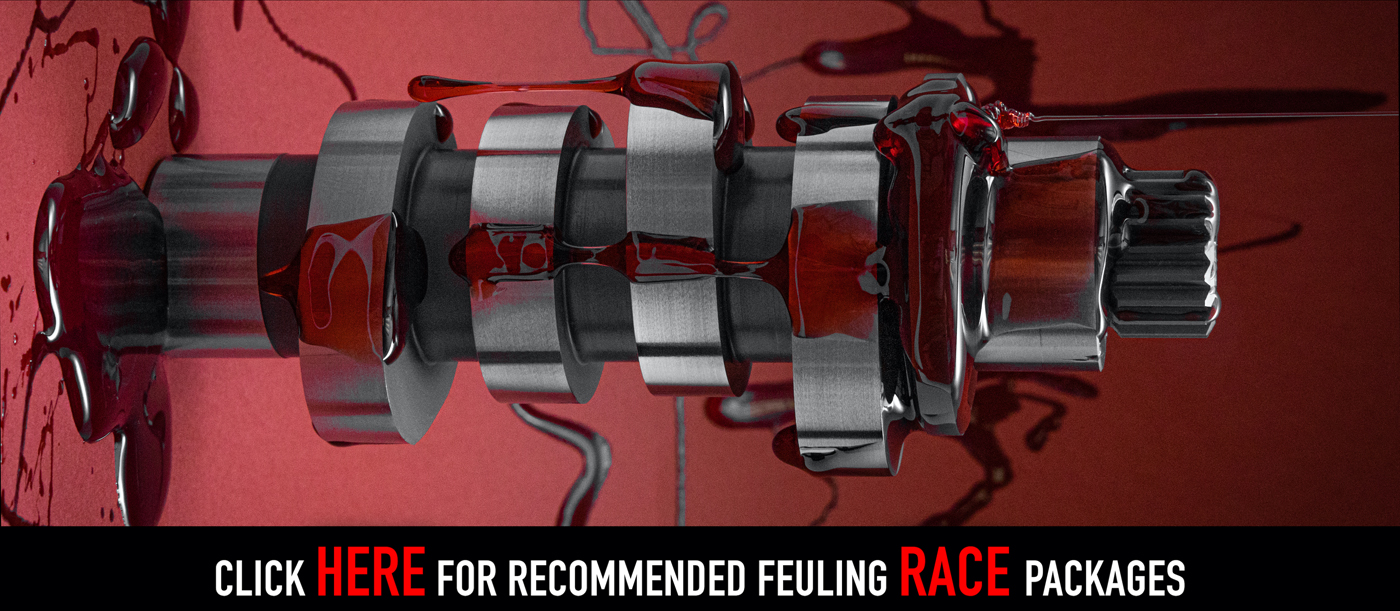 Feuling Bagger GP Racing