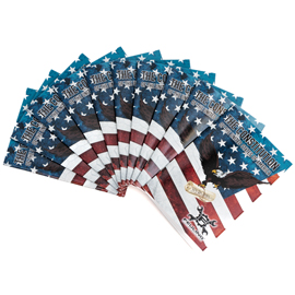 CONSTITUTION of the UNITED STATES