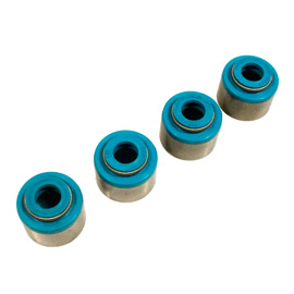 VITON VALVE SEALS