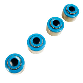 VITON VALVE SEALS