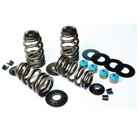 ECONO BEEHIVE SPRING KIT