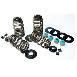 ECONO BEEHIVE SPRING KIT