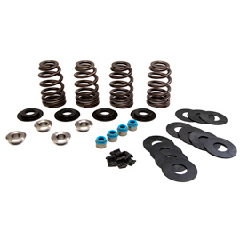 ECONO BEEHIVE SPRING KIT, W Ti Retainers