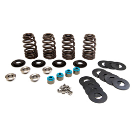 ECONO BEEHIVE SPRING KIT, W Ti Retainers