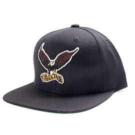 EAGLE CLASSIC SNAPBACK
