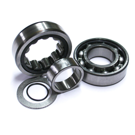 CAM BEARINGS